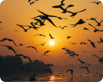 Birçok defa dua ediyoruz, kabul olmuyor?